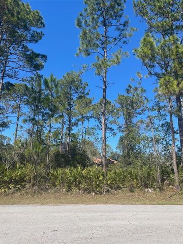 36 SEAGOING TRAIL, Palm Coast, FL 32164