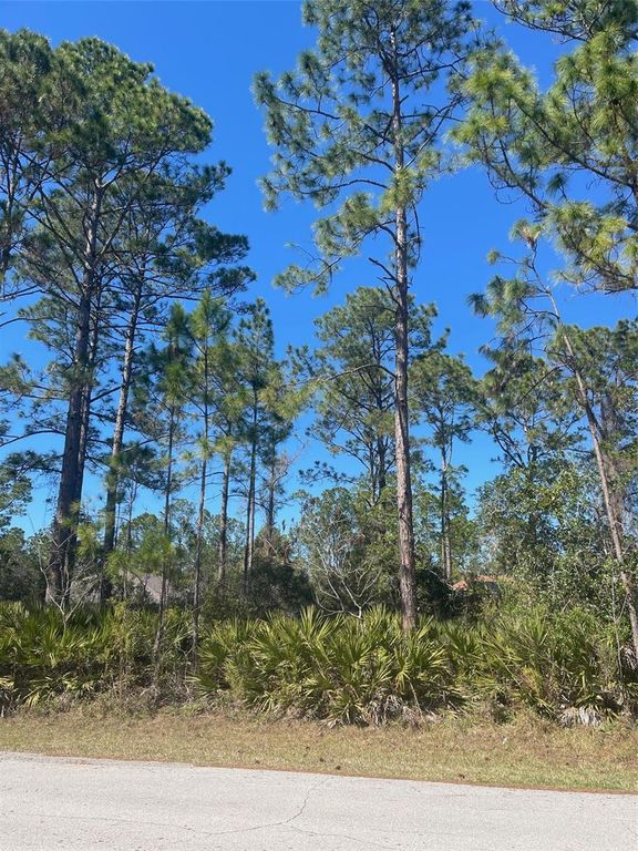 36 SEAGOING TRAIL, Palm Coast, FL 32164