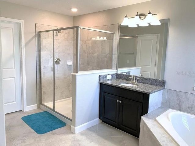 16308 HYDE MANOR DRIVE, Tampa, FL 33647