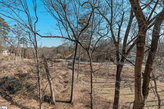 1209 E Washington Street Unit 301, Greenville, SC 29601