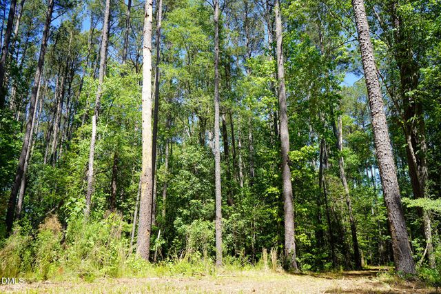 15 Acres Nottingham Lane, Sanford, NC 27330