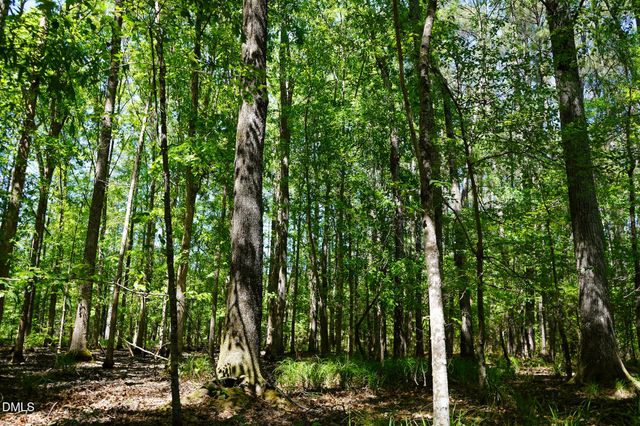 15 Acres Nottingham Lane, Sanford, NC 27330