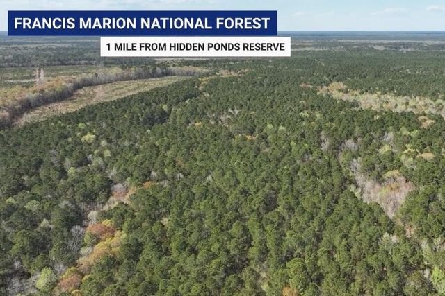 1187 Reserve Lane, Awendaw, SC 29429