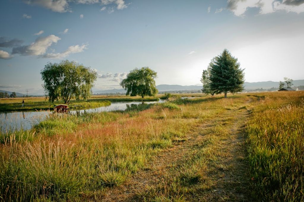 93 Sann Lane, Stevensville, MT 59870 photo 53