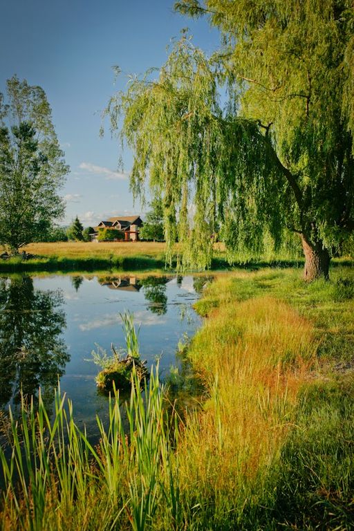 93 Sann Lane, Stevensville, MT 59870 photo 56