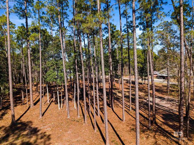 0 Boykin Boulevard, Lillian, AL 36549