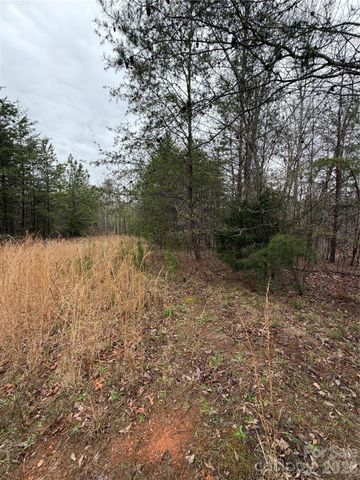 0 Shady Bark Lane 40, Rutherfordton, NC 28139