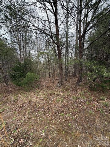 0 Shady Bark Lane 40, Rutherfordton, NC 28139