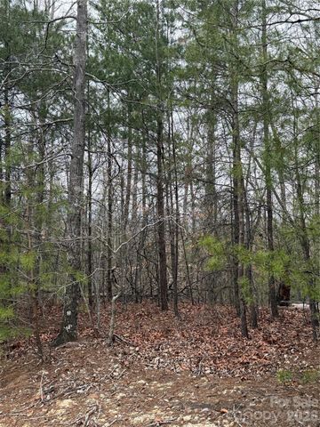 0 Shady Bark Lane 40, Rutherfordton, NC 28139