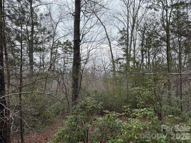 0 Shady Bark Lane 40, Rutherfordton, NC 28139