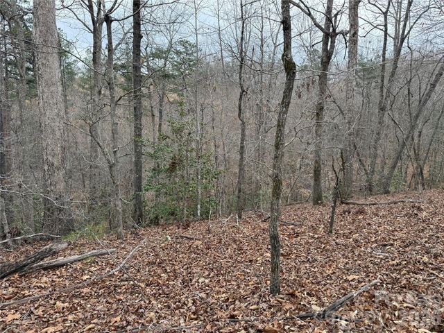 0 Shady Bark Lane 40, Rutherfordton, NC 28139