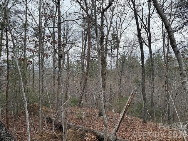 0 Shady Bark Lane 40, Rutherfordton, NC 28139