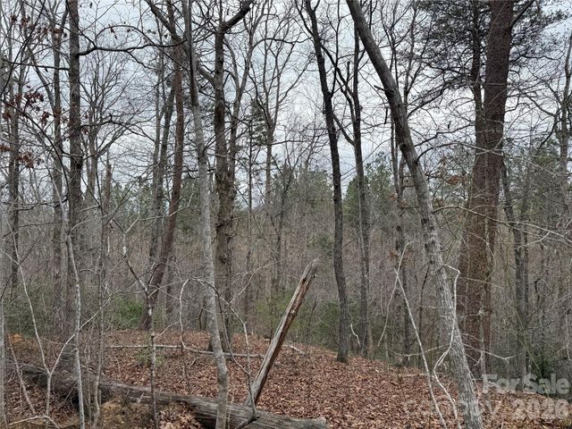 0 Shady Bark Lane 40, Rutherfordton, NC 28139