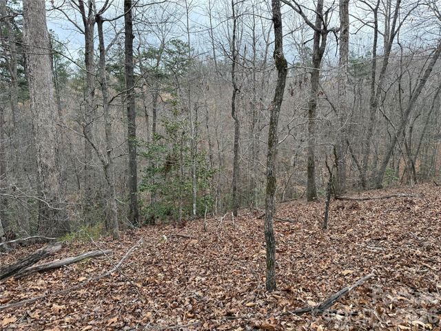 0 Shady Bark Lane 40, Rutherfordton, NC 28139