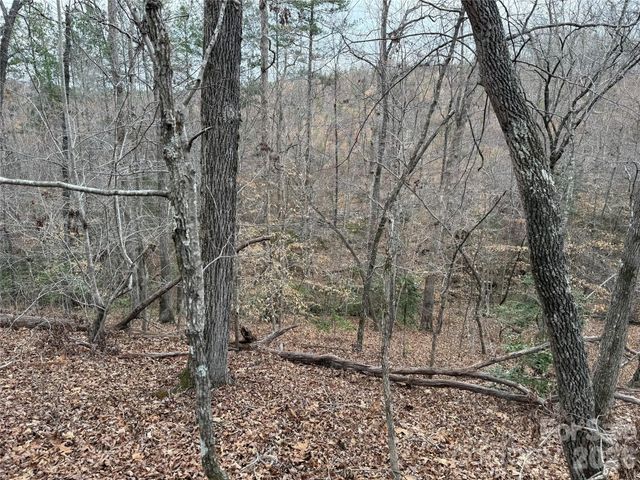 0 Shady Bark Lane 40, Rutherfordton, NC 28139