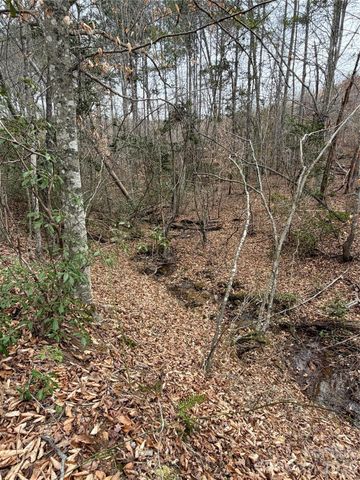 0 Shady Bark Lane 40, Rutherfordton, NC 28139