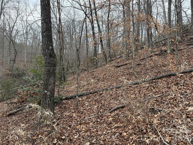 0 Shady Bark Lane 40, Rutherfordton, NC 28139