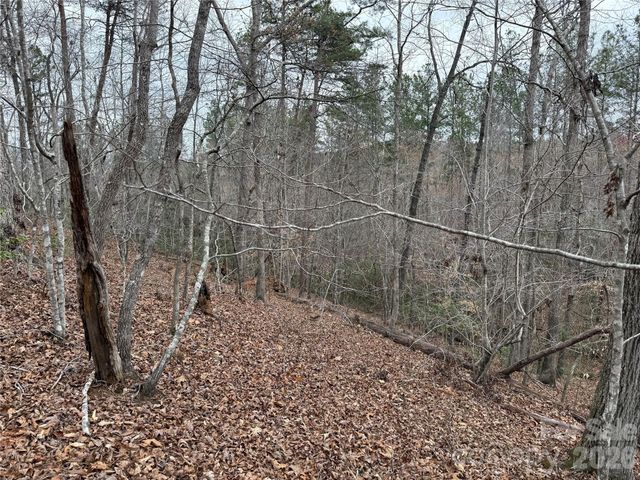 0 Shady Bark Lane 40, Rutherfordton, NC 28139