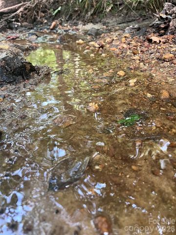 0 Shady Bark Lane 40, Rutherfordton, NC 28139