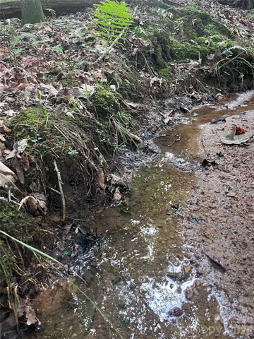 0 Shady Bark Lane 40, Rutherfordton, NC 28139