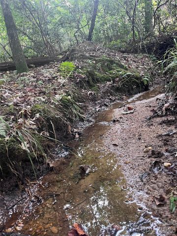 0 Shady Bark Lane 40, Rutherfordton, NC 28139