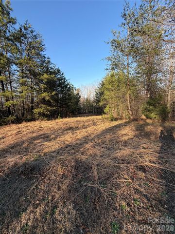 0 Shady Bark Lane 40, Rutherfordton, NC 28139