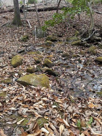 0 Shady Bark Lane 40, Rutherfordton, NC 28139