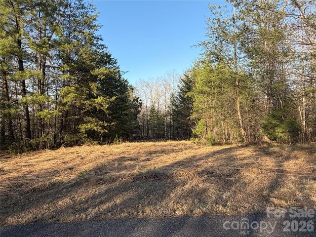 0 Shady Bark Lane 40, Rutherfordton, NC 28139