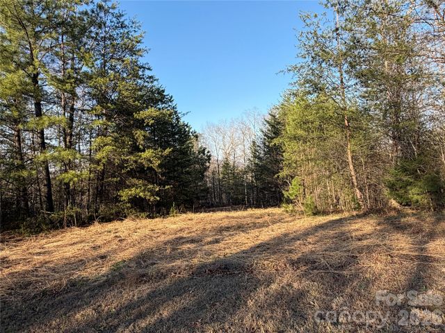 0 Shady Bark Lane 40, Rutherfordton, NC 28139