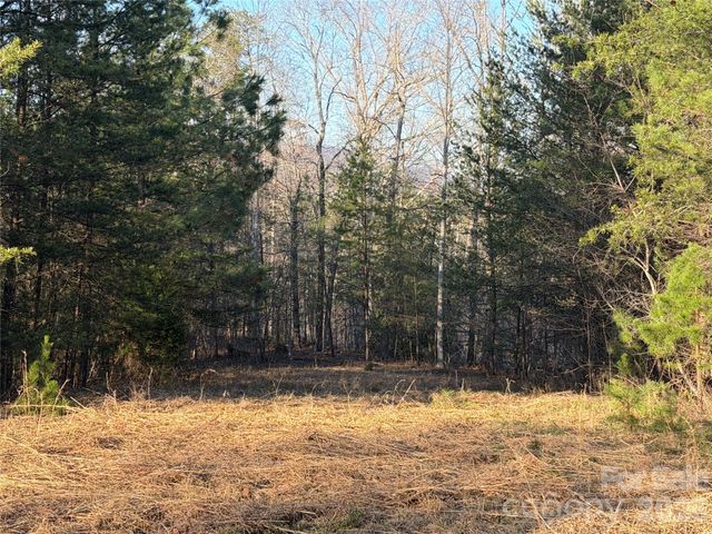 0 Shady Bark Lane 40, Rutherfordton, NC 28139