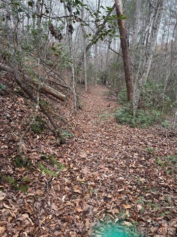 0 Shady Bark Lane 40, Rutherfordton, NC 28139