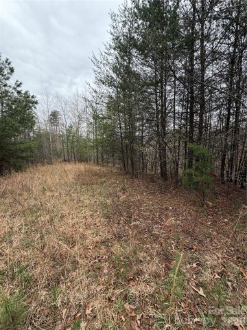 0 Shady Bark Lane 40, Rutherfordton, NC 28139