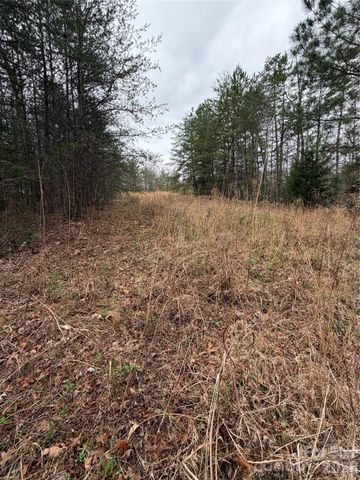 0 Shady Bark Lane 40, Rutherfordton, NC 28139