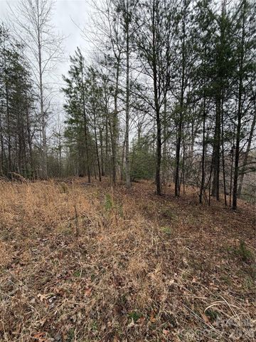 0 Shady Bark Lane 40, Rutherfordton, NC 28139