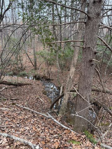 0 Shady Bark Lane 40, Rutherfordton, NC 28139