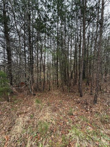 0 Shady Bark Lane 40, Rutherfordton, NC 28139