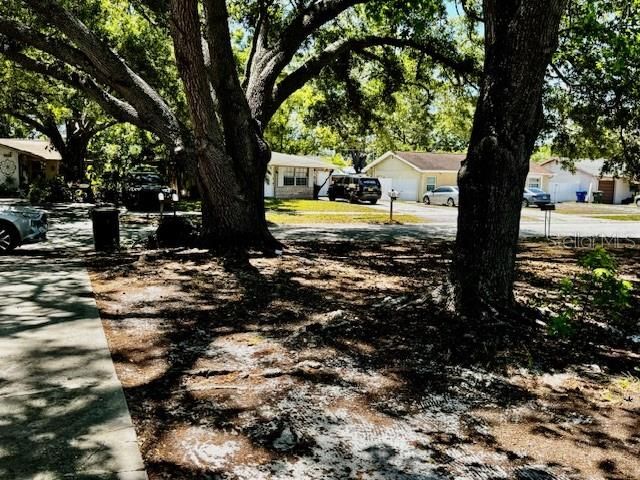 3073 PINE TREE AVENUE, Largo, FL 33771