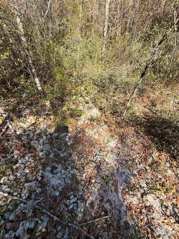 Lot 17 Brook Crossing St, Pace, FL 32571