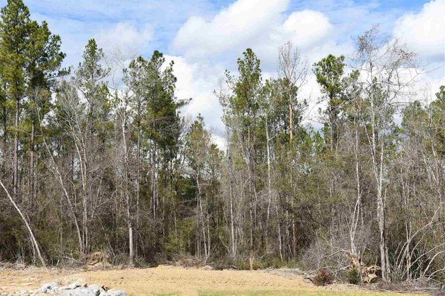 Lot 17 Brook Crossing St, Pace, FL 32571