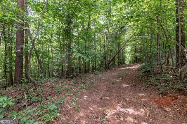 26.18 AC Green Road, Young Harris, GA 30582
