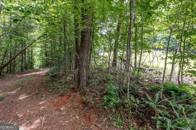 26.18 AC Green Road, Young Harris, GA 30582
