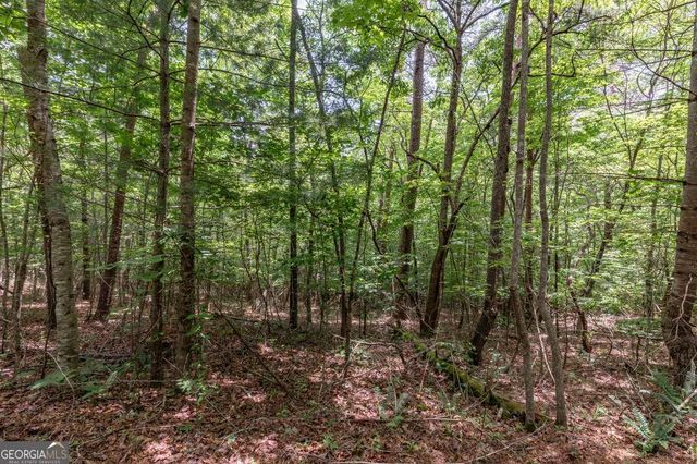26.18 AC Green Road, Young Harris, GA 30582