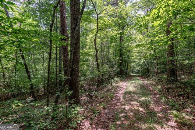 26.18 AC Green Road, Young Harris, GA 30582