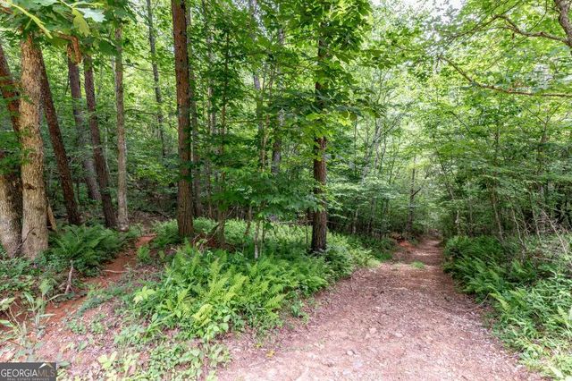 26.18 AC Green Road, Young Harris, GA 30582