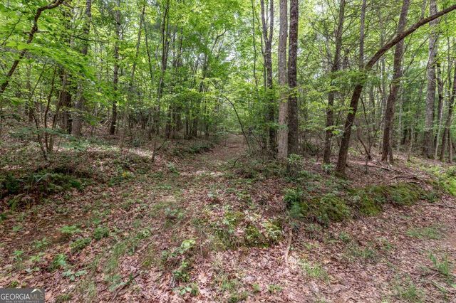 26.18 AC Green Road, Young Harris, GA 30582