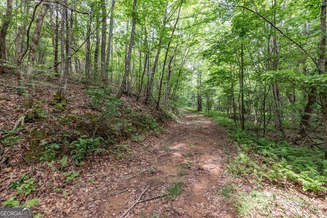 26.18 AC Green Road, Young Harris, GA 30582