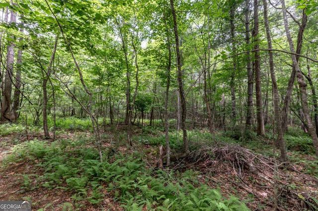 26.18 AC Green Road, Young Harris, GA 30582
