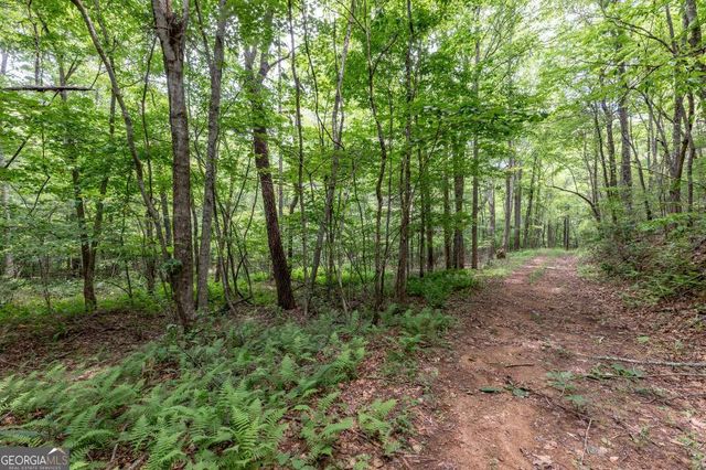 26.18 AC Green Road, Young Harris, GA 30582