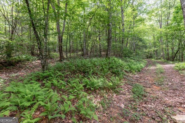 26.18 AC Green Road, Young Harris, GA 30582