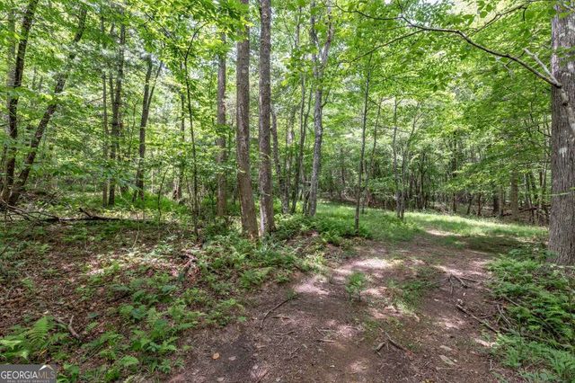 26.18 AC Green Road, Young Harris, GA 30582